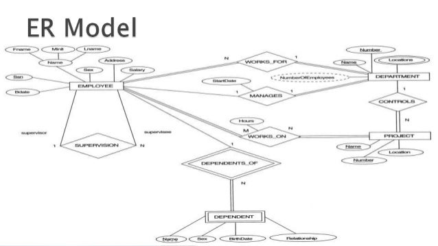 Difference between er model and relational model in dbms